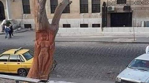  على شجرة تثير ضجة في دمشق!