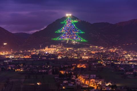 إيطاليا تضيء أكبر شجرة عيد ميلاد في العالم 