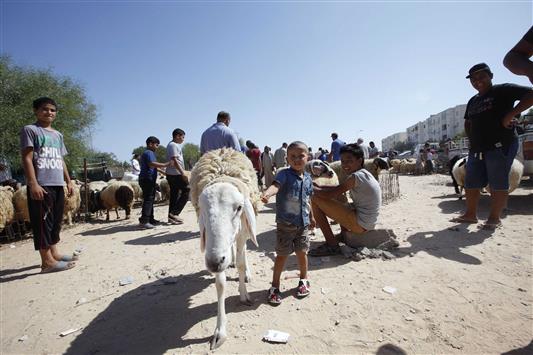طفل يلهو قرب خروف العيد في سوق للأضاحي في مدينة طرابلس (رويترز)